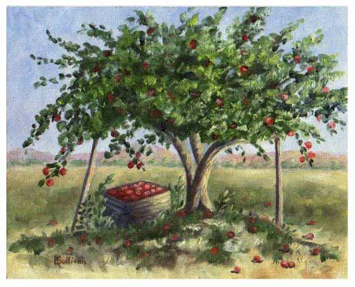 item #3, Apple Harvest